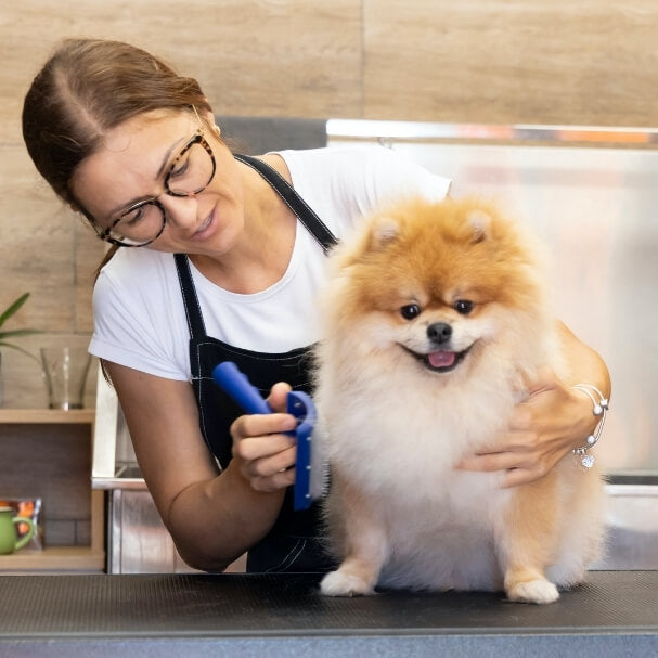 es una candidiasis de la piel de los perros contagiosa