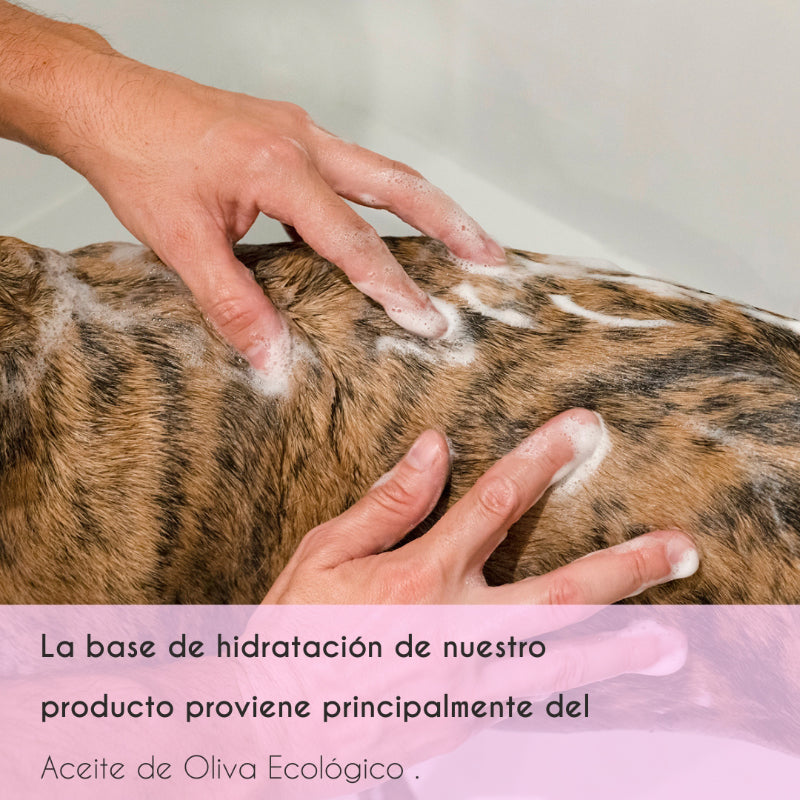 Mascarilla hidratante para perros y gatos con todo tipo de pelo