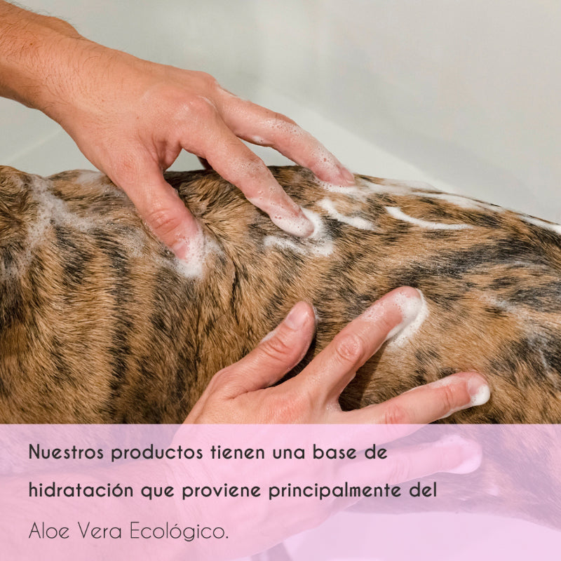 Champú hidratante para perros y gatos