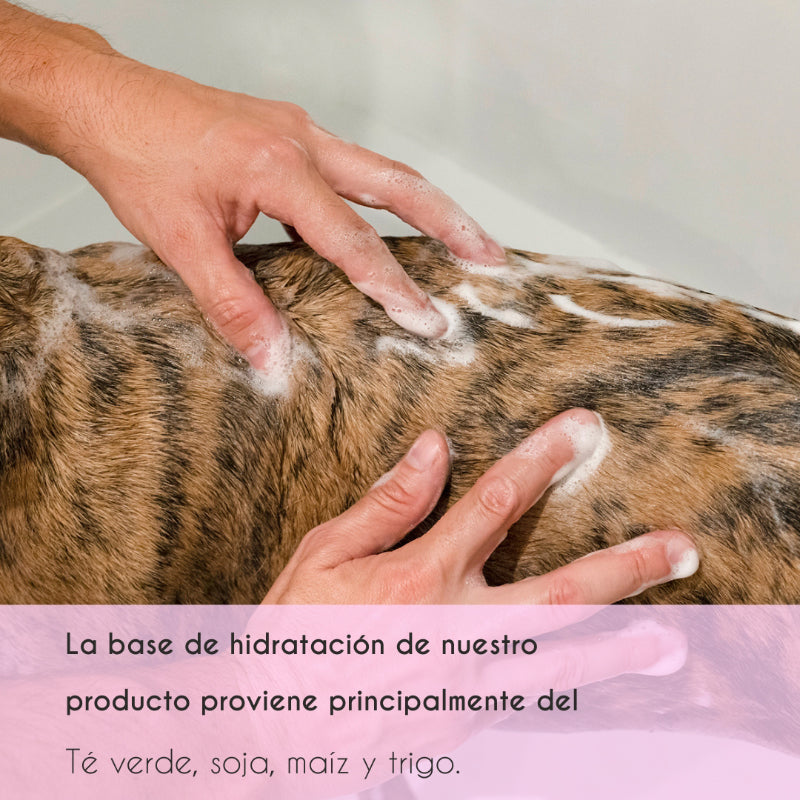 Pet color enhancer shampoo