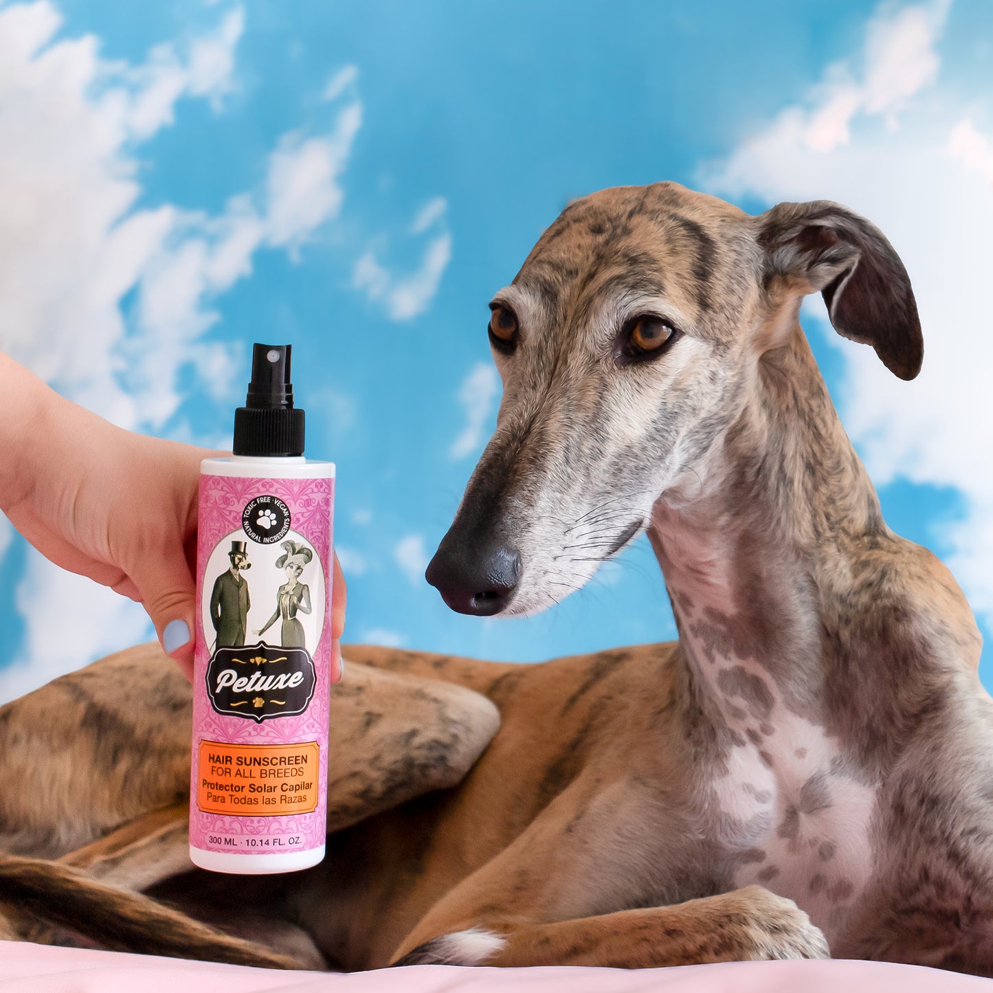 Crème solaire capillaire pour animaux de compagnie