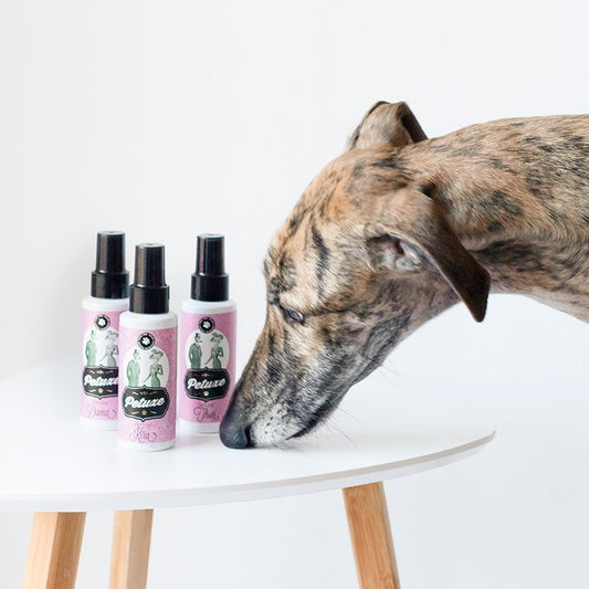 Perfume for dogs and cats - Toby - 100 ml