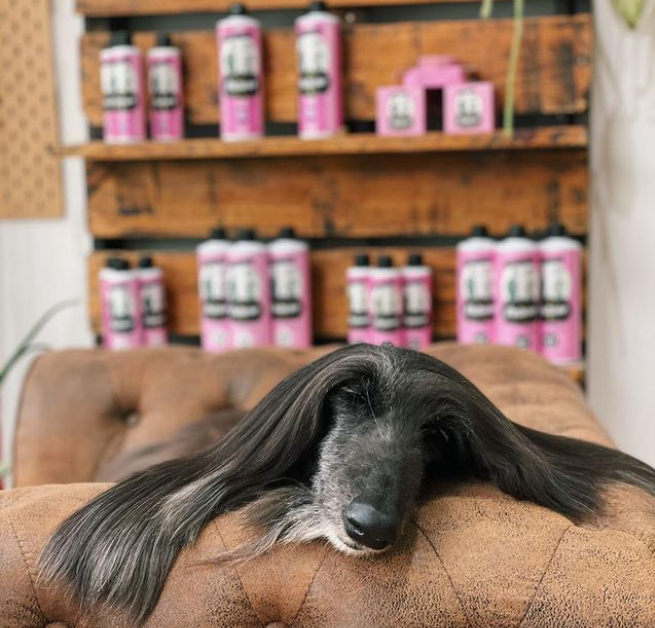 Pet shampoo with high bearing power