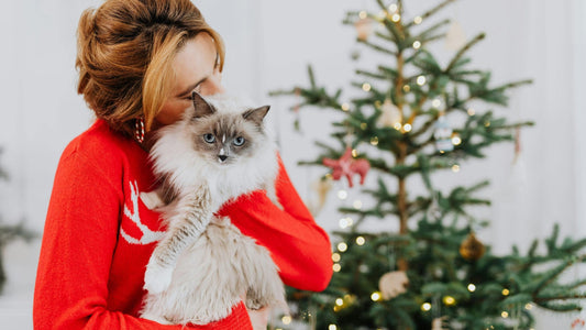5 consejos para pasar la Navidad con tu mascota