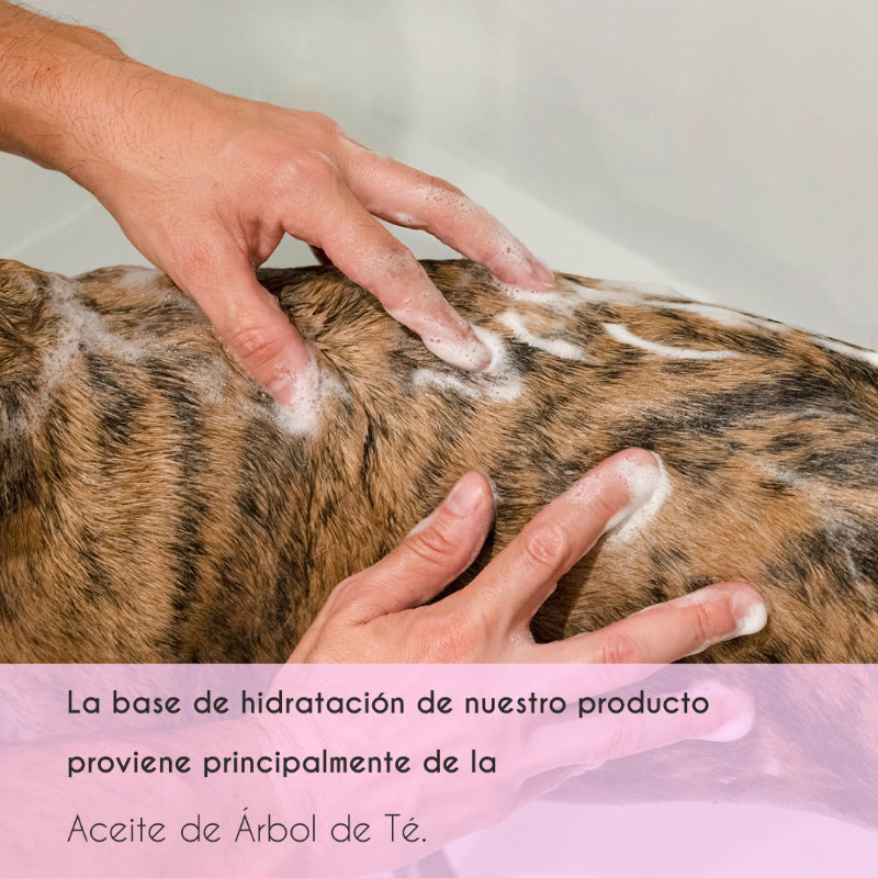 Champú preventivo para perros y gatos