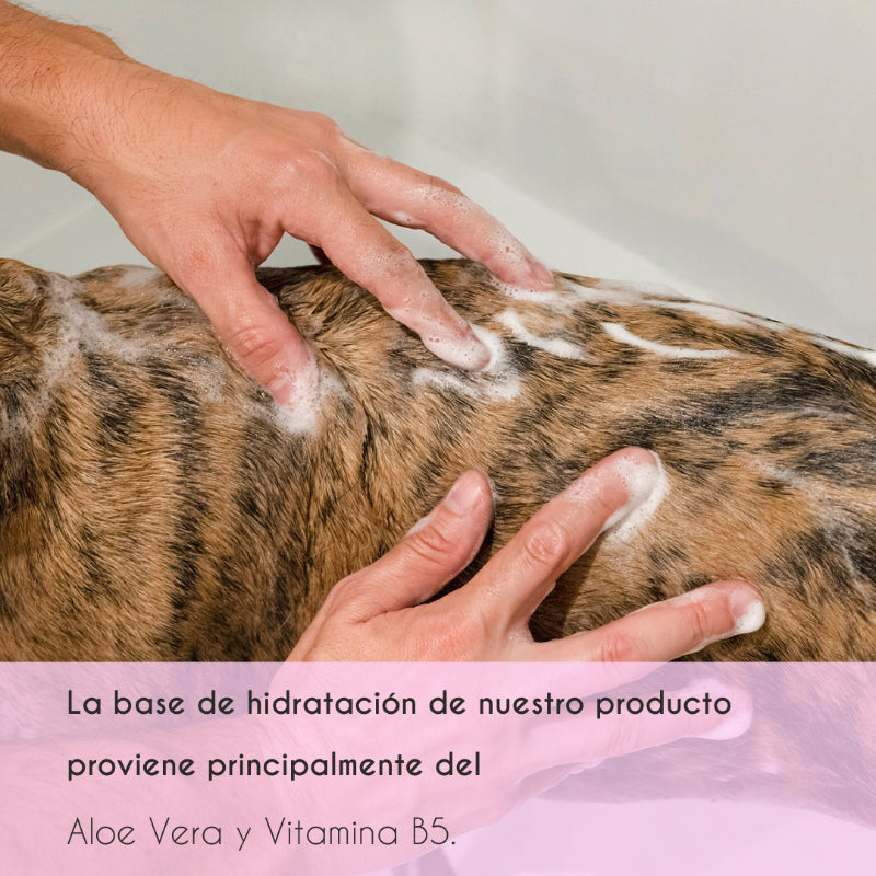 Pet shampoo with high bearing power