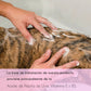 Pack shampoing et revitalisant chien d'eau
