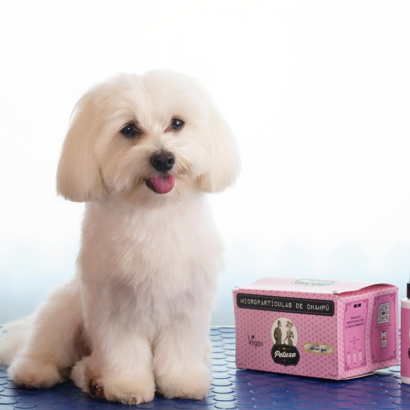 Petuxe Micropartículas de champú especial para groomers