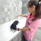 Petuxe Shampooing spécial microparticules pour toiletteurs 